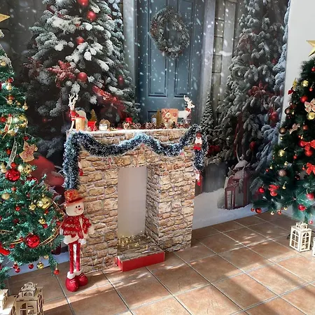 Borika צ'פלארה