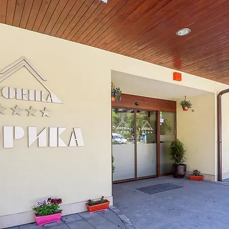 Отель Borika